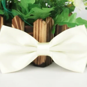 Bow Tie Singapore
